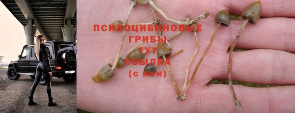 эйфоретик Балабаново